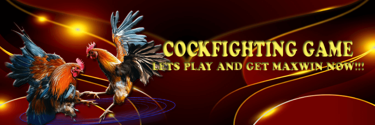 Sabung Ayam - IMEL4D - Platform Game Terpercaya